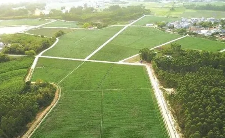 中水監理 | 水利項目業績巡展（四） 