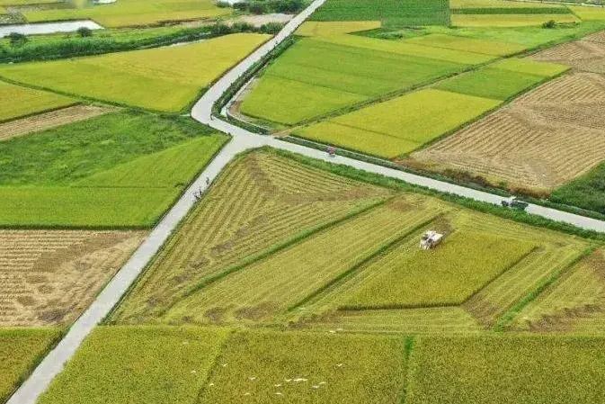 中水監理 | 水利項目業績巡展（五）