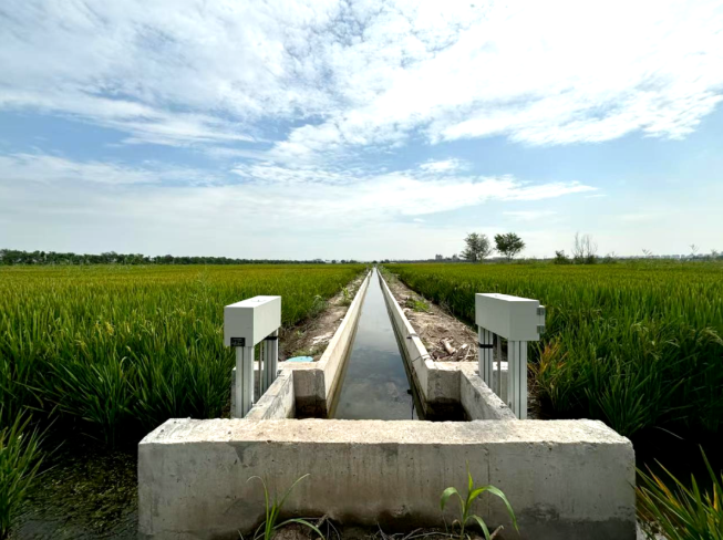 中水監理再添萬畝高標準農田項目業績